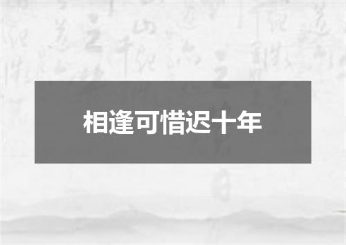 相逢可惜迟十年