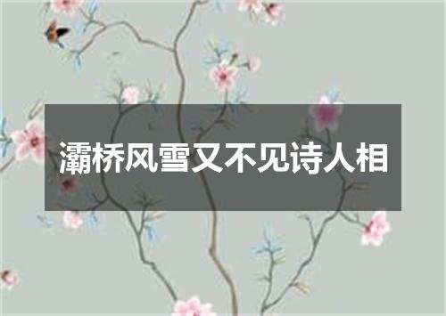 灞桥风雪又不见诗人相