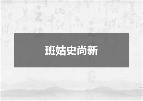 班姑史尚新