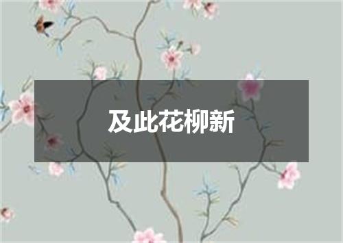 及此花柳新