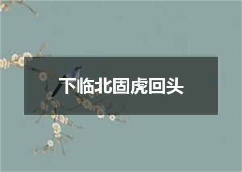 下临北固虎回头