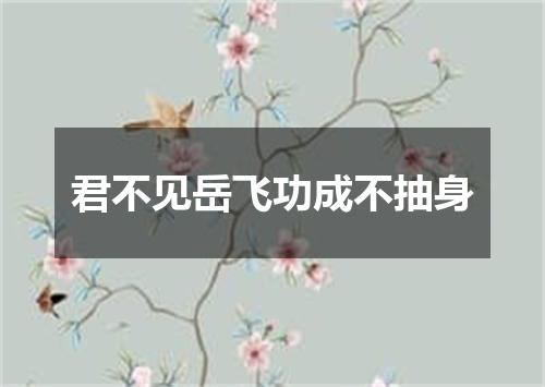 君不见岳飞功成不抽身