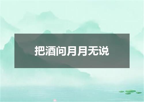 把酒问月月无说