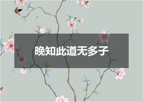 晚知此道无多子