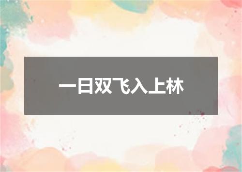 一日双飞入上林