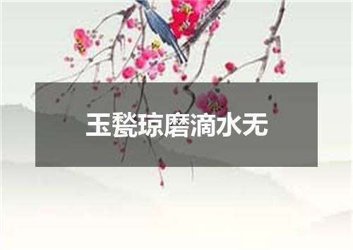 玉甃琼磨滴水无