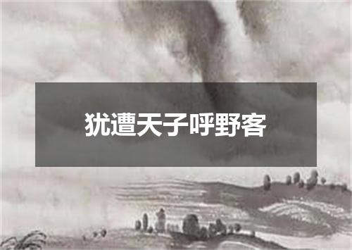 犹遭天子呼野客