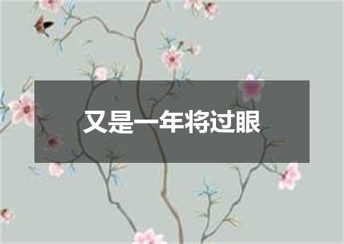 又是一年将过眼