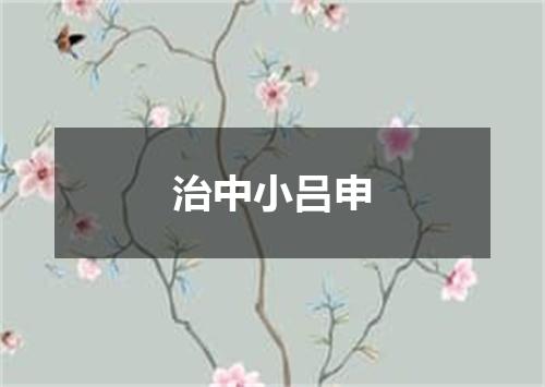 治中小吕申