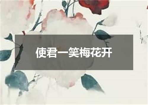 使君一笑梅花开