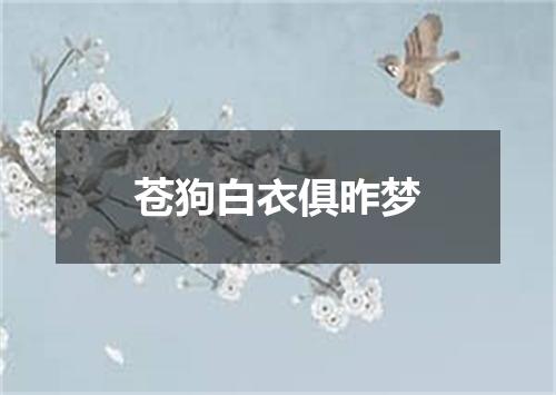 苍狗白衣俱昨梦