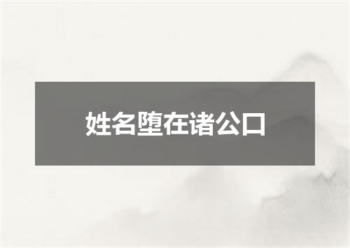 姓名堕在诸公口