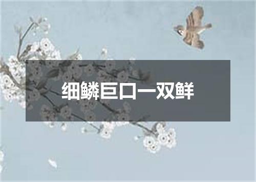 细鳞巨口一双鲜