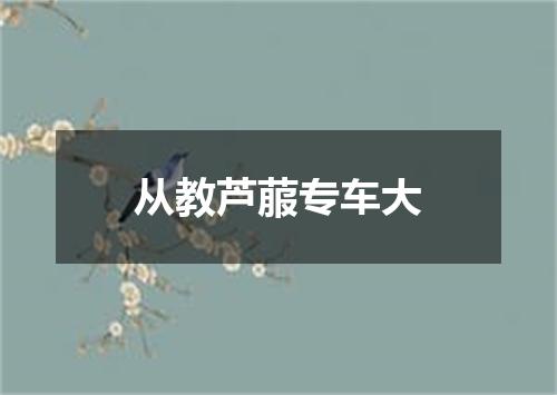 从教芦菔专车大