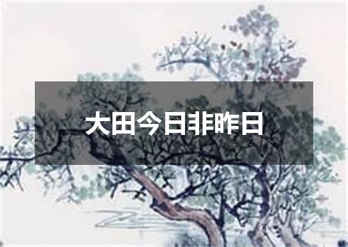 大田今日非昨日