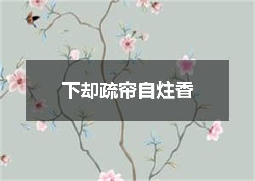 下却疏帘自炷香