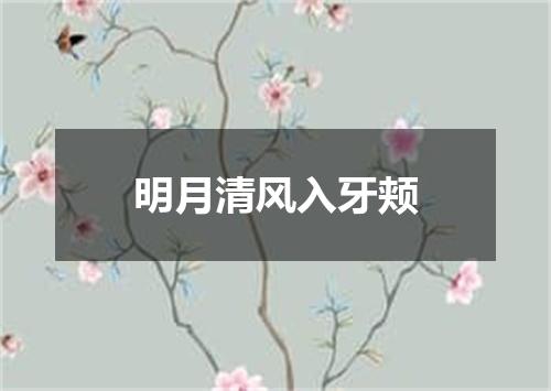 明月清风入牙颊