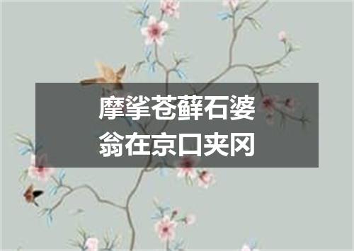 摩挲苍藓石婆翁在京口夹冈