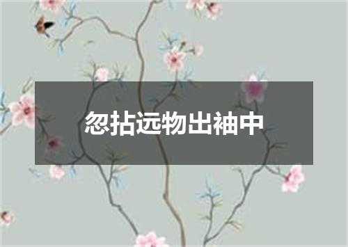 忽拈远物出袖中