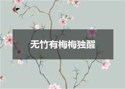 无竹有梅梅独醒