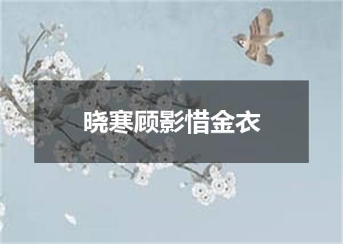 晓寒顾影惜金衣