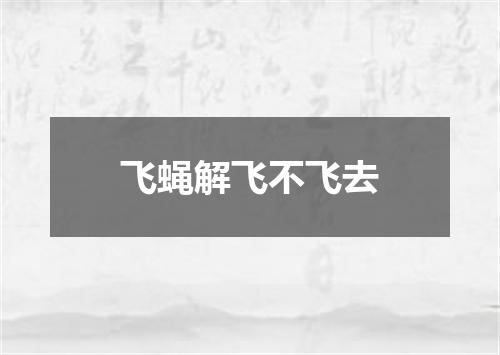 飞蝇解飞不飞去