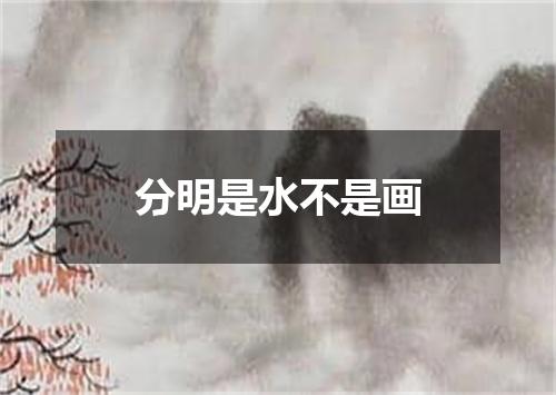 分明是水不是画