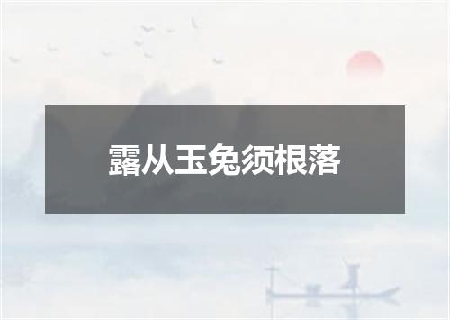 露从玉兔须根落