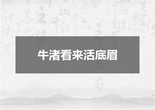 牛渚看来活底眉