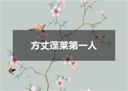 方丈蓬莱第一人