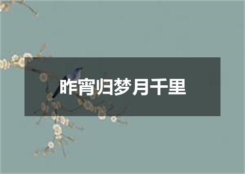 昨宵归梦月千里