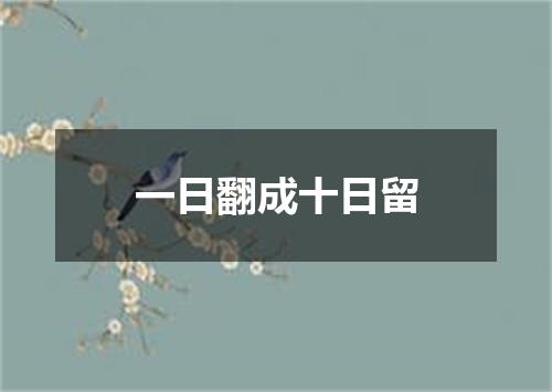 一日翻成十日留