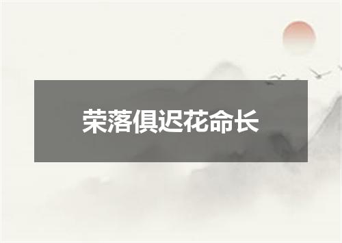 荣落俱迟花命长