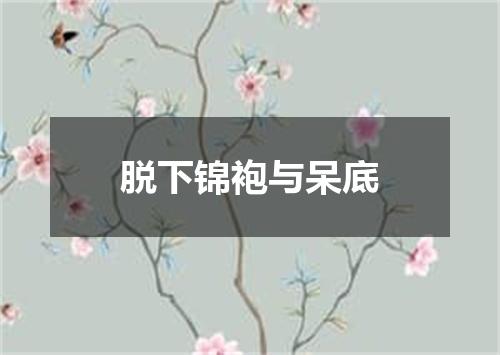 脱下锦袍与呆底