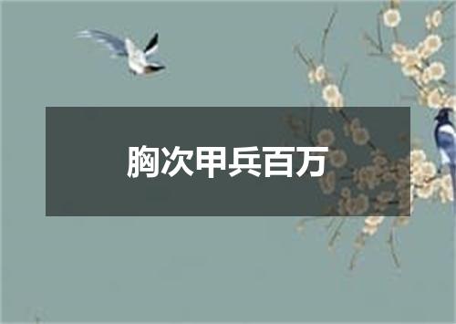 胸次甲兵百万