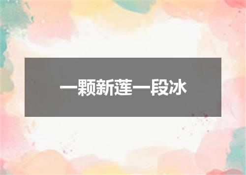 一颗新莲一段冰