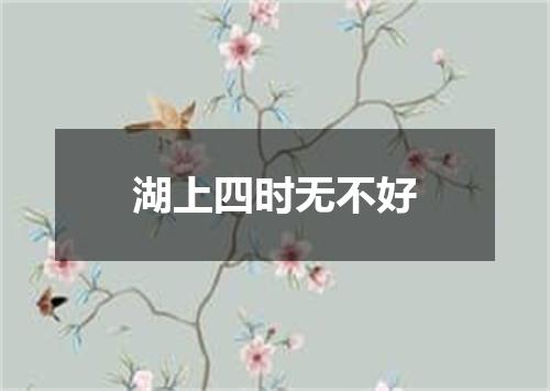 湖上四时无不好