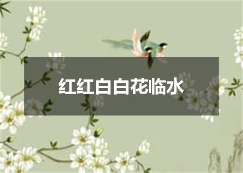 红红白白花临水