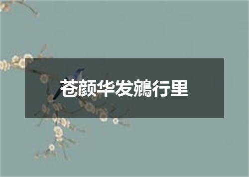 苍颜华发鵷行里