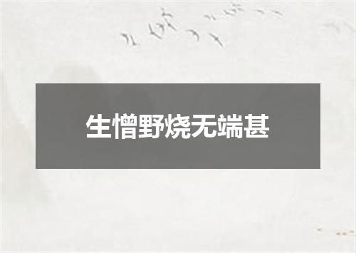 生憎野烧无端甚