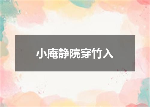 小庵静院穿竹入