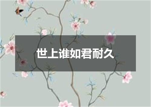 世上谁如君耐久