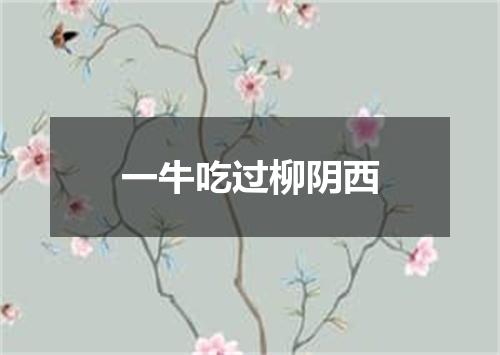 一牛吃过柳阴西