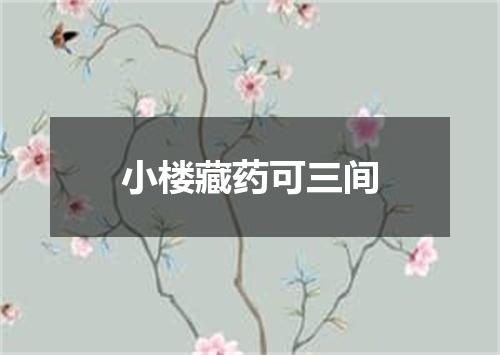 小楼藏药可三间