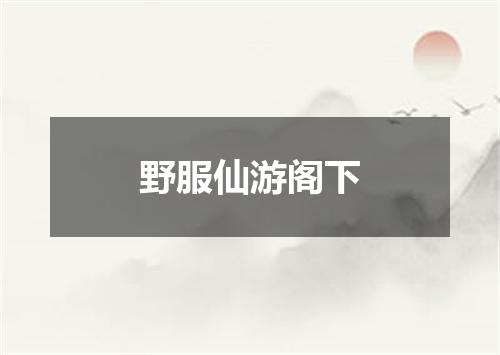 野服仙游阁下