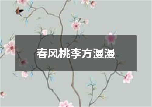 春风桃李方漫漫