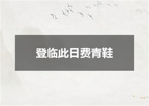 登临此日费青鞋