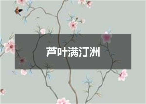 芦叶满汀洲