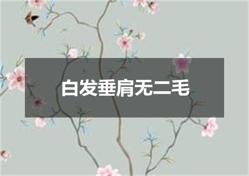 白发垂肩无二毛