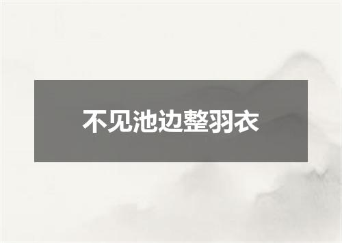 不见池边整羽衣